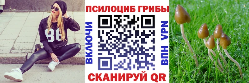 как найти наркотики  ОМГ ОМГ ССЫЛКА  Галлюциногенные грибы Cubensis  Сердобск 